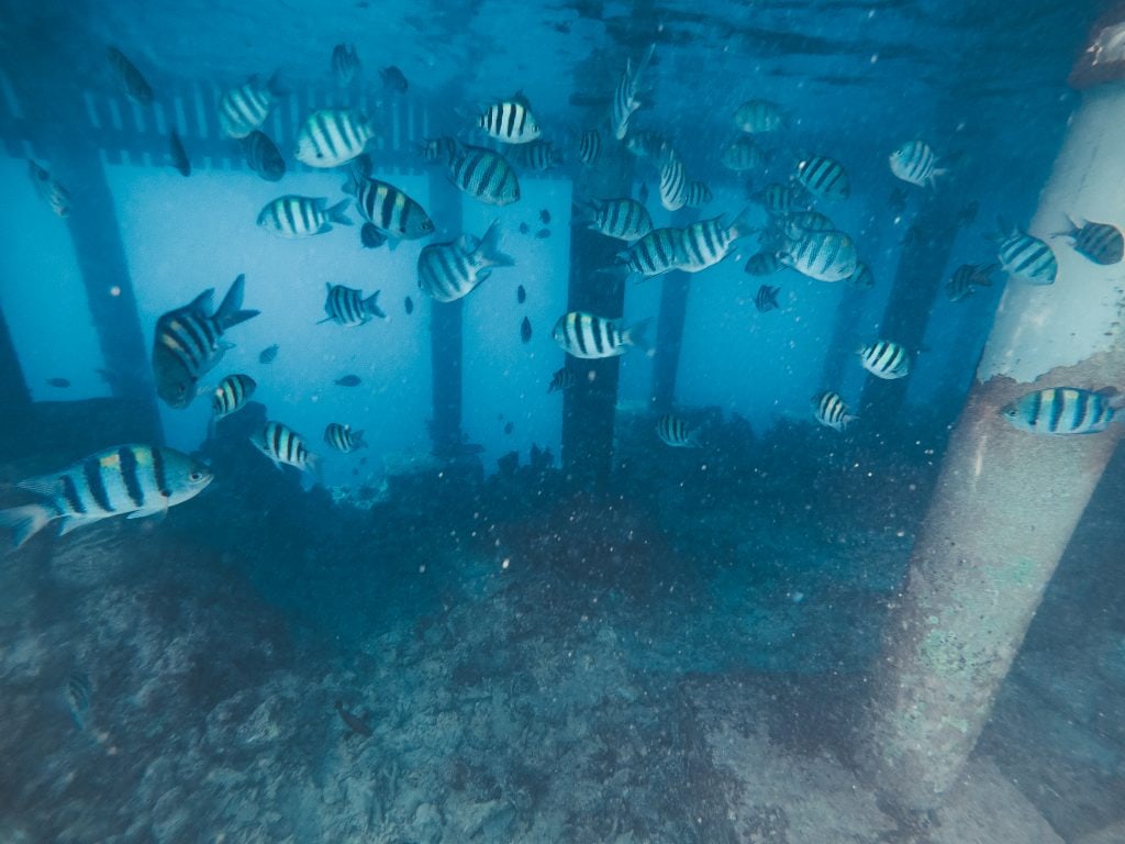 Park Hyatt Hadahaa Maldives