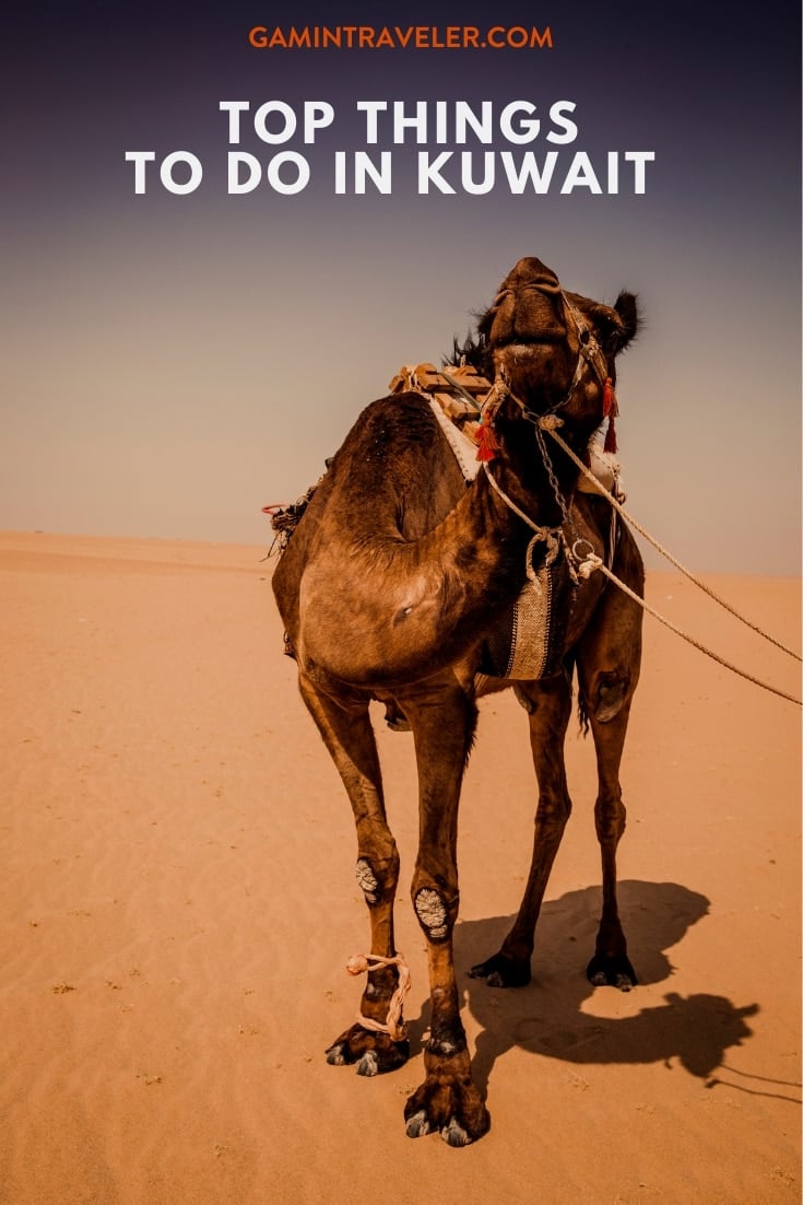 Kuwait travel guide, things to do in Kuwait