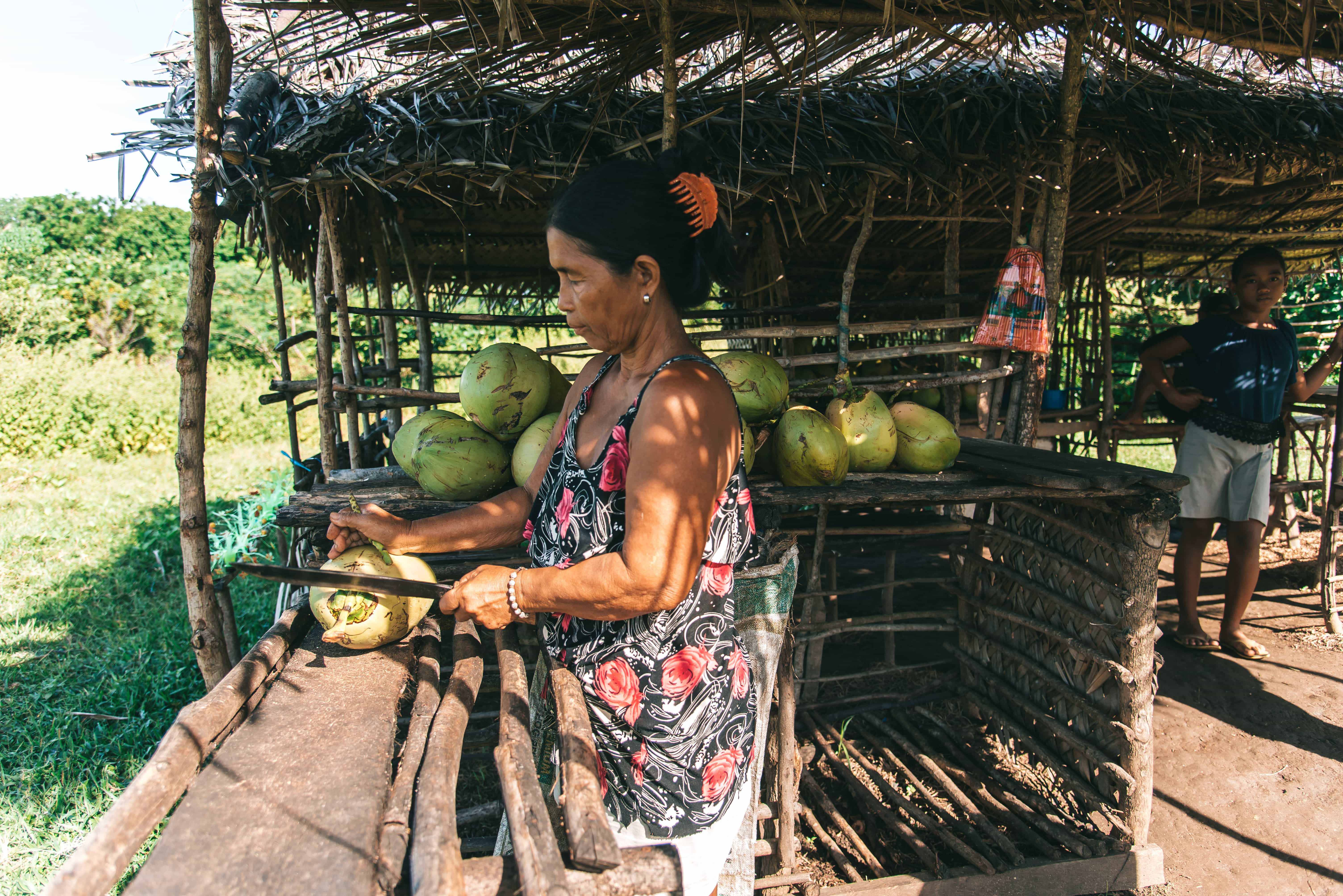 Caramoan tourist spots, Caramoan travel guide, Guniahoan Island