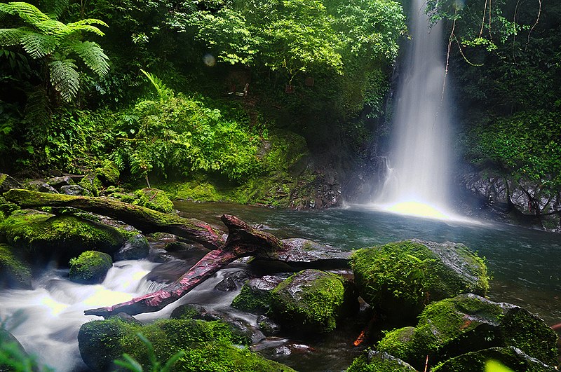 15 Awesome Naga Tourist Spots (Naga Travel Guide) 14 Malabsay Falls, Naga tourist spots, Naga travel guide,