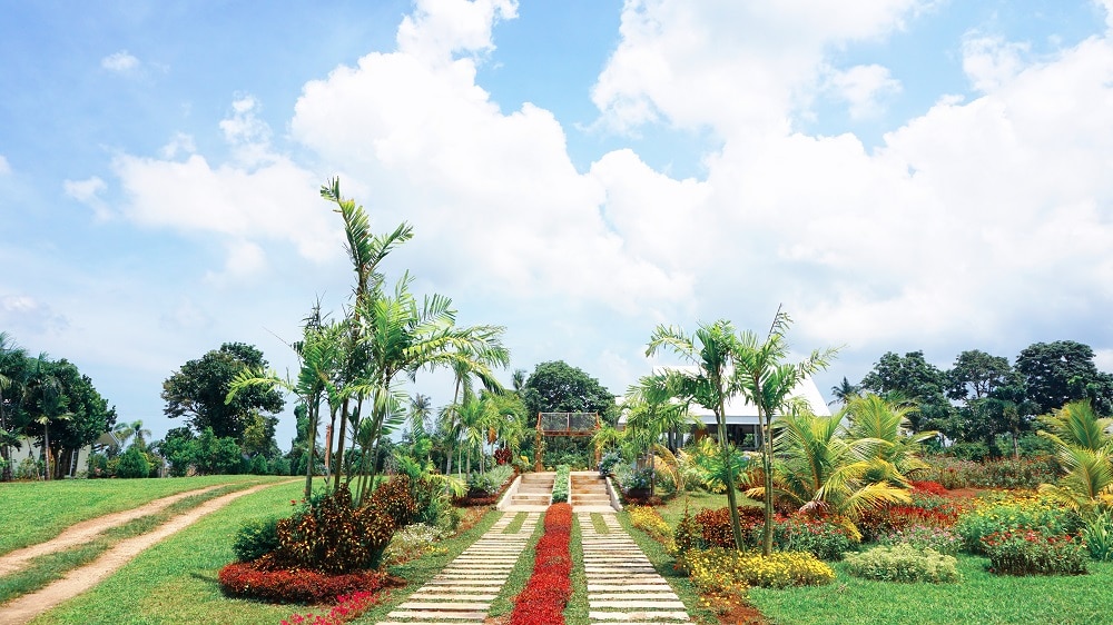 15 Awesome Naga Tourist Spots (Naga Travel Guide) 17 Sonrisa Farm, Naga tourist spots, Naga travel guide