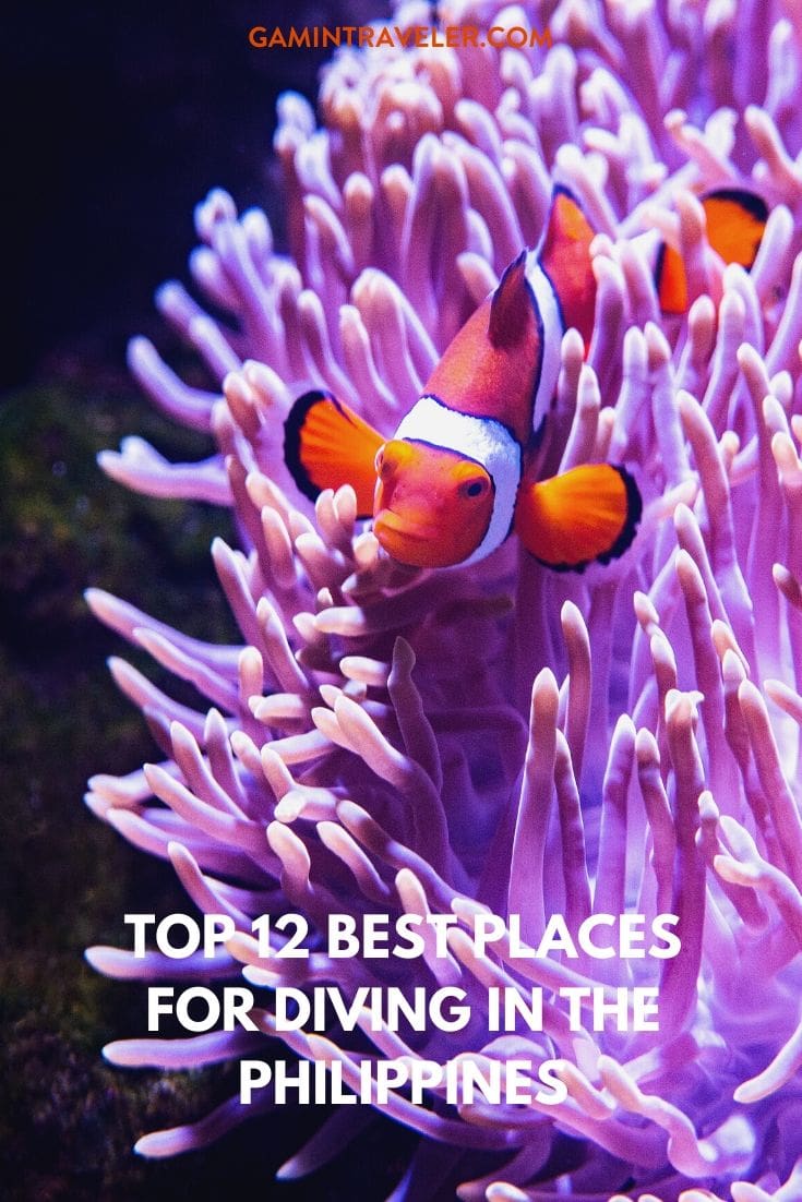 Best Places For Diving in the Philippines