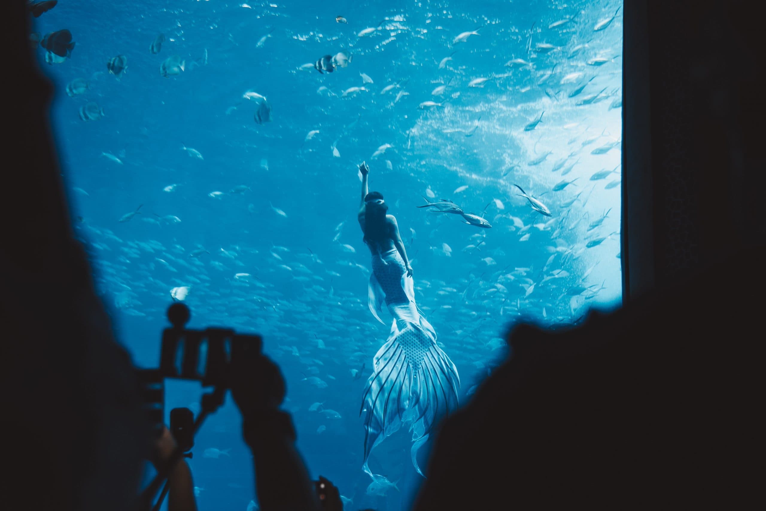 Atlantis Sanya, where to stay in Sanya