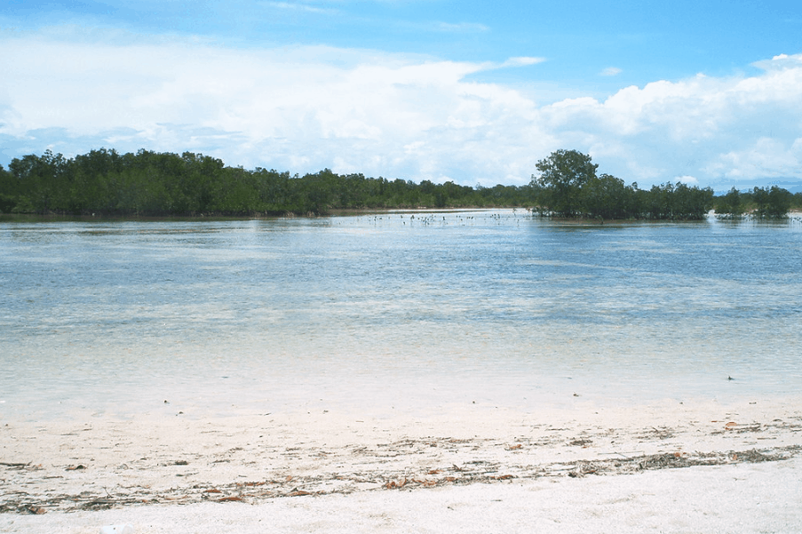 Sorsogon Tourist Spots - Olango Beach, Sorsogon travel guide