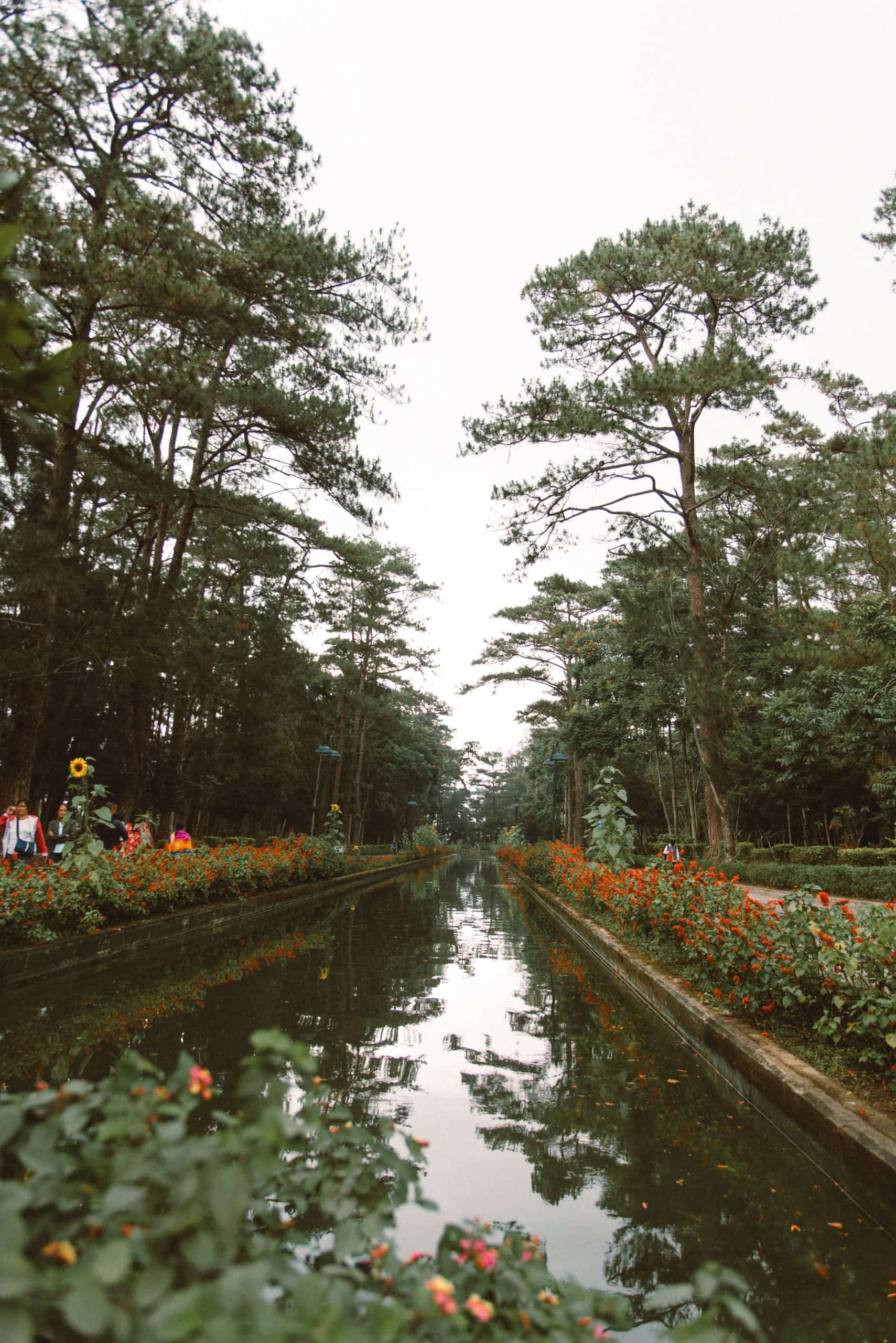 Baguio tourist spots, Baguio travel guide, Wright Park