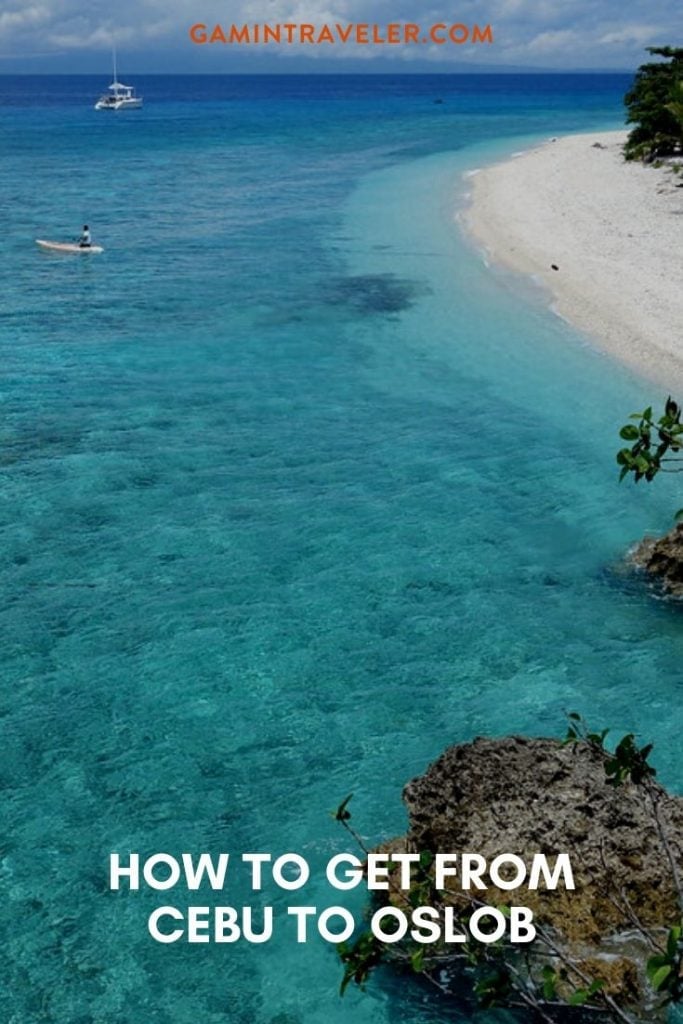 cebu to oslob, cebu city to oslob, cebu airport to oslob, cebu to oslob bus, bus fare cebu to oslob