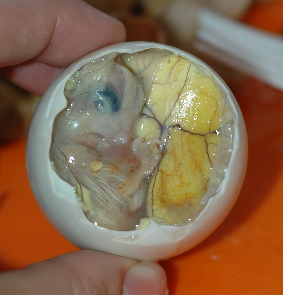Balut, Filipino Street food, 
filipino snacks, philippine snacks, filipino merienda 
