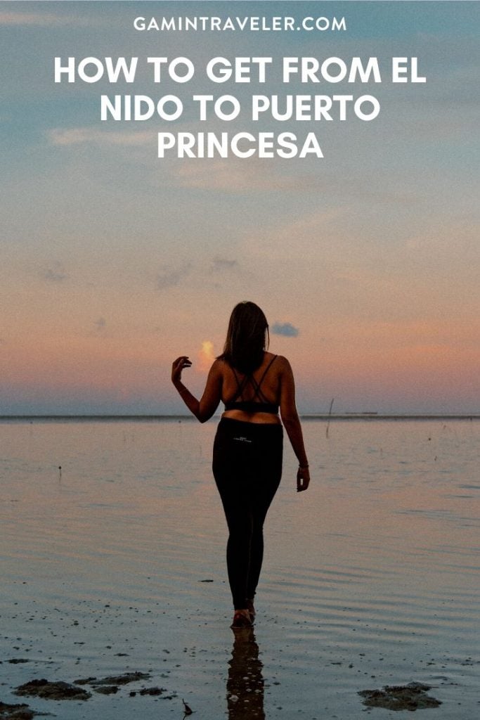  el nido to puerto princesa, el nido to puerto princesa flight, el nido to puerto princesa airport, el nido to puerto princesa travel time
