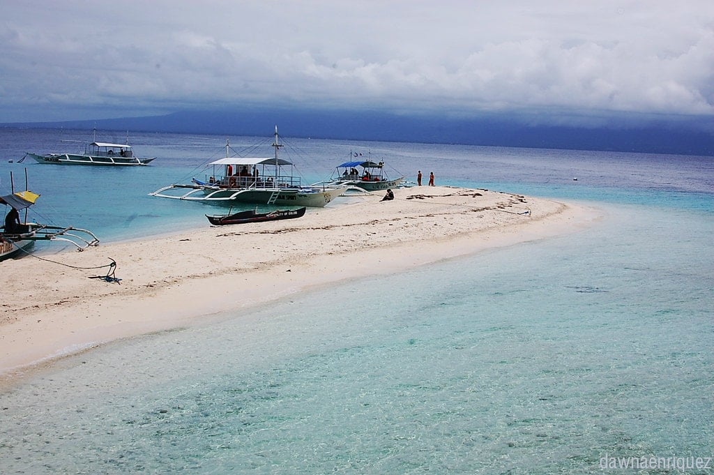 cebu to oslob, cebu city to oslob, cebu airport to oslob, cebu to oslob bus, bus fare cebu to oslob