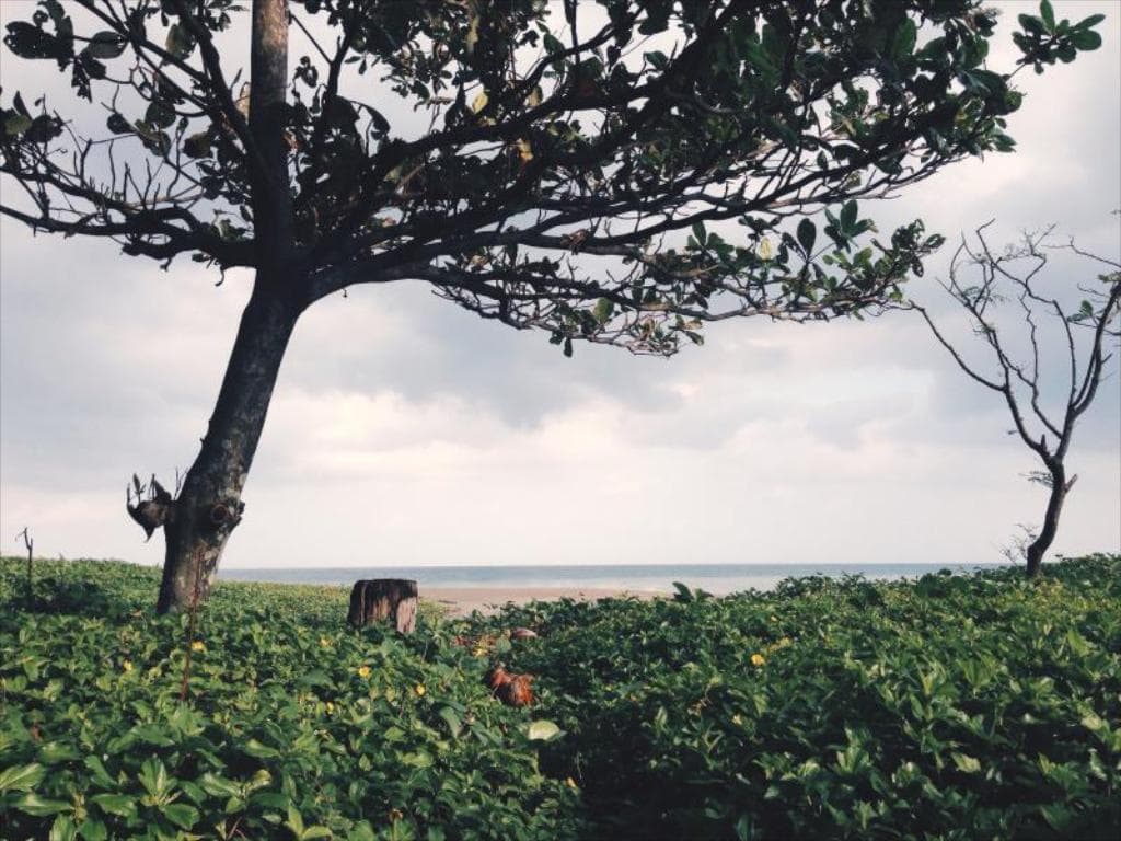 Pannzian Beach Resort, beach resorts in Pagudpud, resorts in Pagudpud, where to stay in Pagudpud