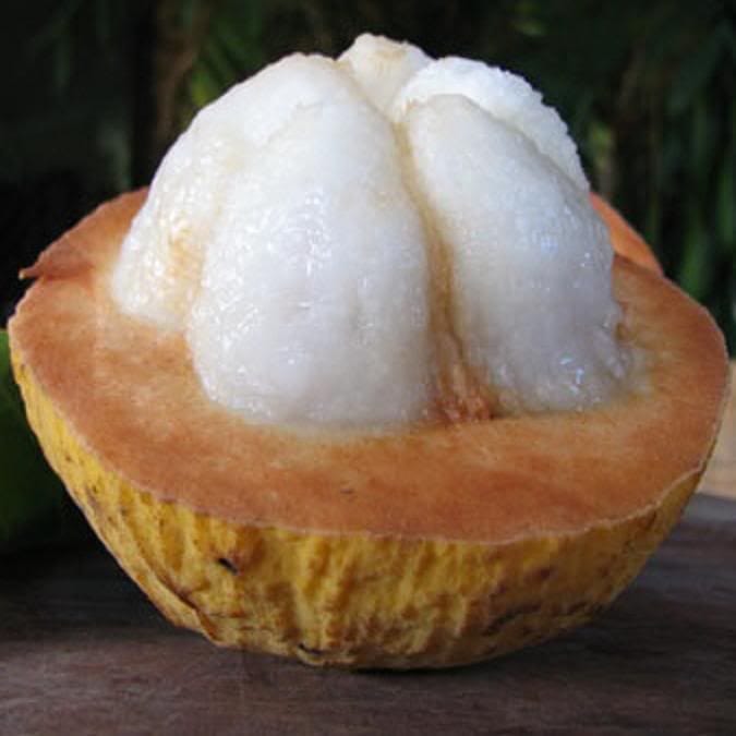 Philippine Fruits: 25 Best Fruits in the Philippines to Try 21 Santol,
