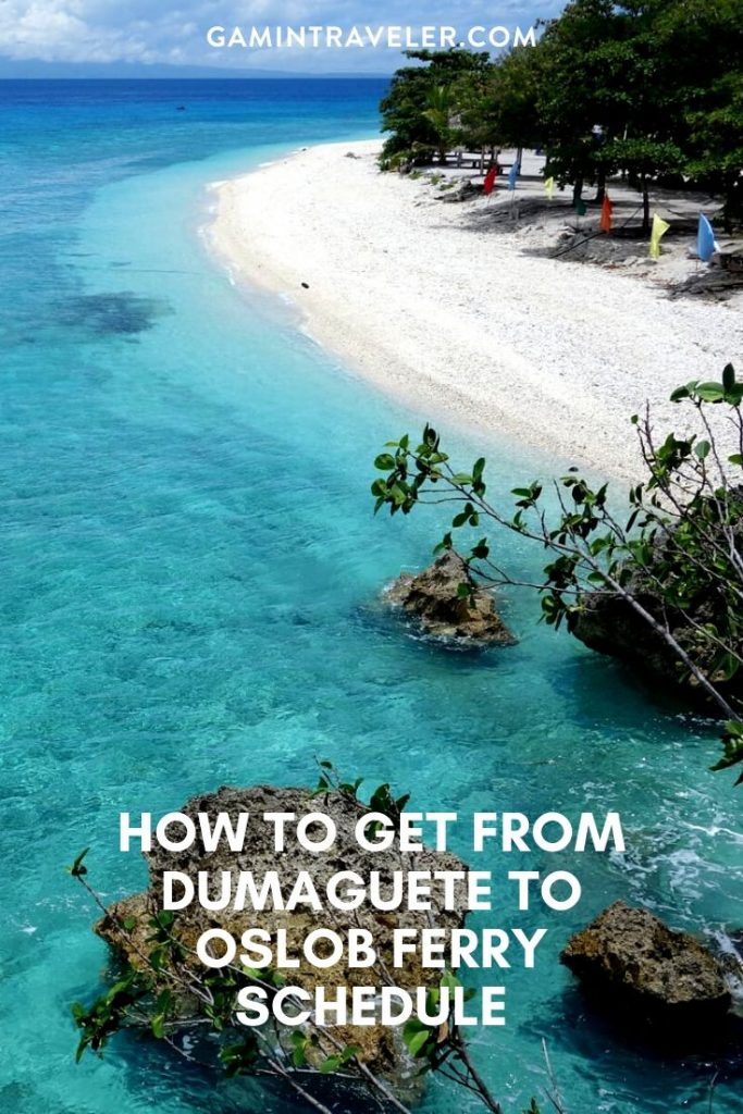 dumaguete to oslob, oslob to dumaguete, dumaguete to oslob ferry, dumaguete to oslob ferry schedule, dumaguete to oslob roro