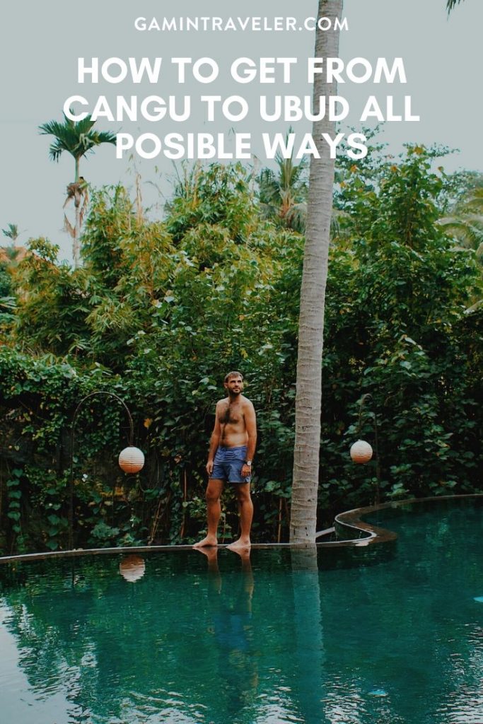 canggu to ubud, canggu to ubud distance, canggu to ubud cheapest way, canggu to ubud taxi