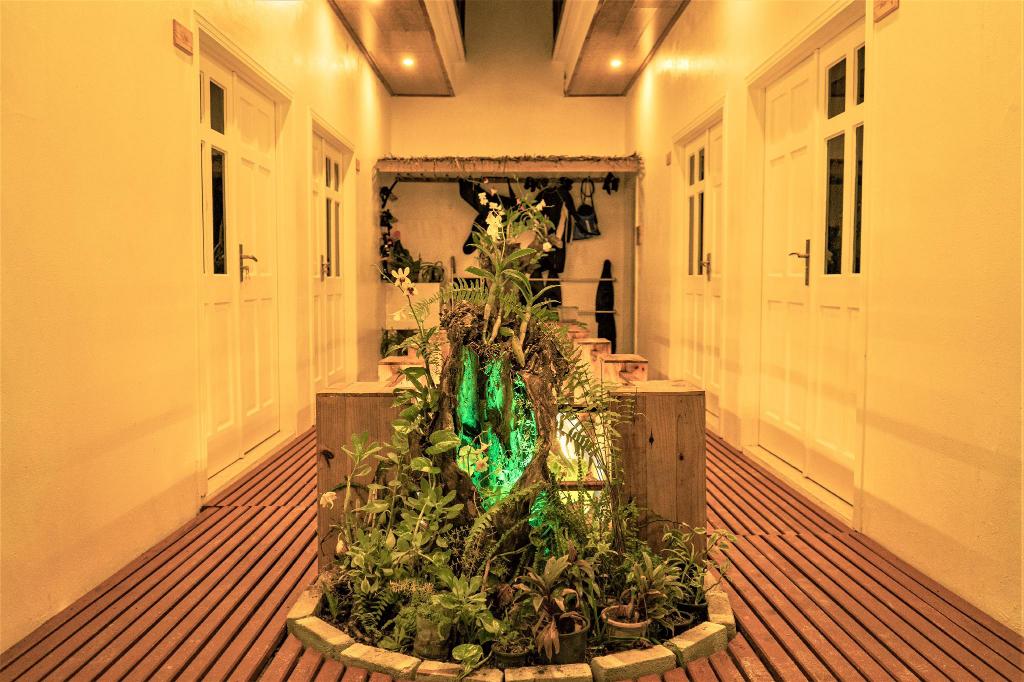 Water Breeze Hotel at Maafushi, maafushi island, hotels in maafushi, maafushi guest house, maafushi island hotels, maafushi hotels