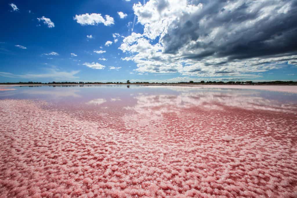 Aigues Mortes, things to do in Montpellier, Montpellier tourist spots