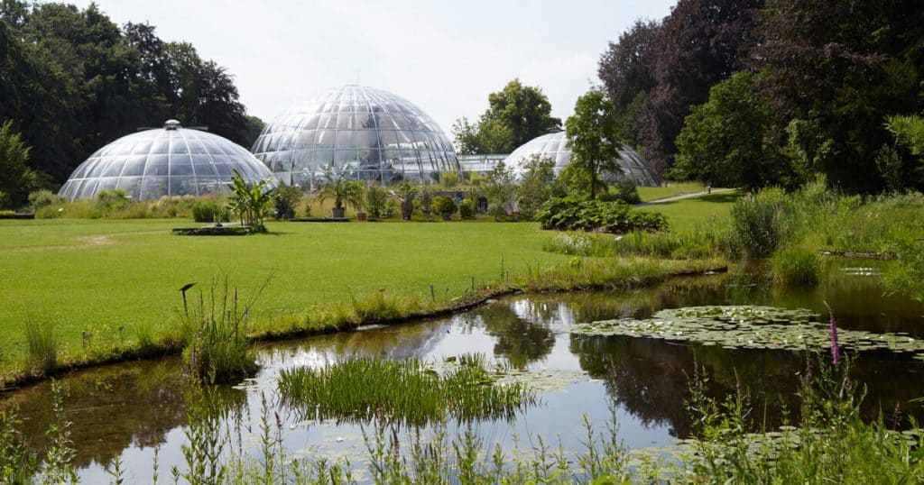 Zurich Tourist Spots, Things to do in Zurich, Botanic Garden