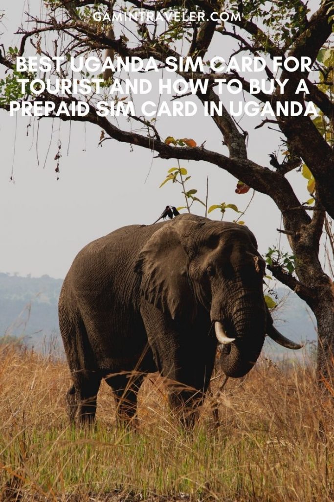 sim card Uganda airport, cheapest sim card in Uganda, best tourist sim card uganda, uganda sim card for tourists, best sim card for uganda, uganda prepaid sim card, uganda sim card for tourist, tourist sim card uganda, sim card uganda, prepaid sim card uganda, uganda tourist sim card, sim card in uganda, uganda prepaid sim card, uganda sim card