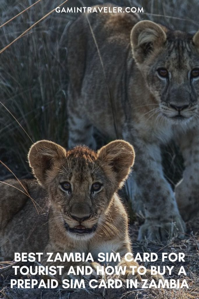 best tourist sim card zambia, zambia sim card for tourists, best sim card for zambia, zambia prepaid sim card, zambia sim card for tourist, tourist sim card zambia, prepaid sim card zambia, zambia tourist sim card, sim card in zambia, sim card zambia, zambia prepaid sim card, zambia sim card airport, zambia sim card 