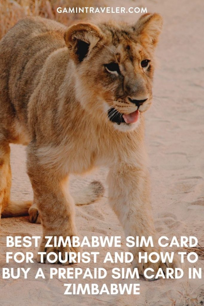 sim card Zimbabwe airport, cheapest sim card in Zimbabwe, best tourist sim card zimbabwe, zimbabwe sim card for tourists, best sim card for zimbabwe, zimbabwe prepaid sim card, zimbabwe sim card for tourist, tourist sim card zimbabwe, prepaid sim card zimbabwe, zimbabwe tourist sim card, sim card in zimbabwe, sim card zimbabwe, zimbabwe prepaid sim card, zimbabwe sim card airport, zimbabwe sim card