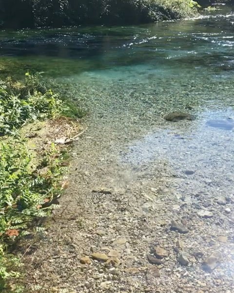 blue eye in albania, Blue Eye Saranda, also called Syri I Kalter Albania, Blue Eye Spring Albania