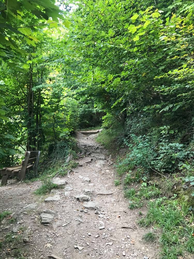 harder kulm, harder kulm funicular, harder kulm tickets, harder kulm opening hours, Harder Kulm Hike, Hiking Harder Kulm 