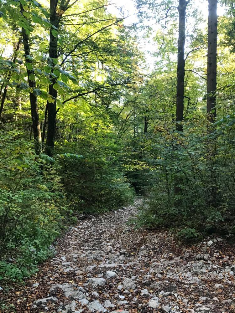 lake bled hike, ojstrica hike, the Best View of Lake Bled, The Best Lake Bled Viewpoint