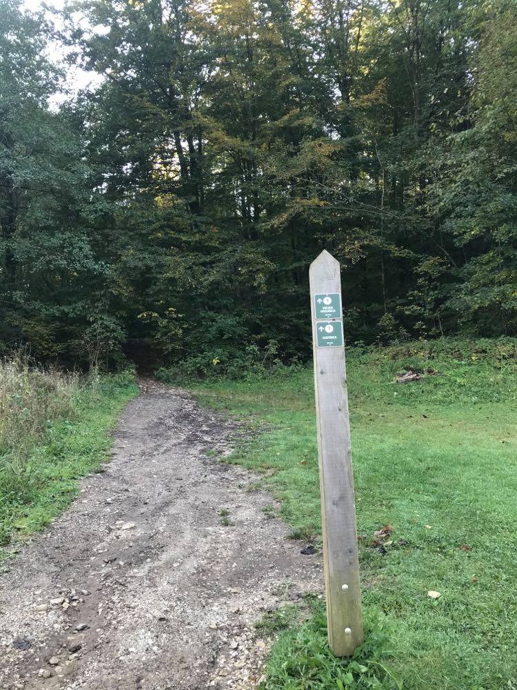 lake bled hike, ojstrica hike, the Best View of Lake Bled, The Best Lake Bled Viewpoint, where to start Ojstrica Hike