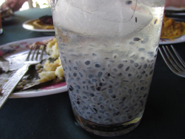 Costa Rican drinks, drinks in Costa Rica, Chan
