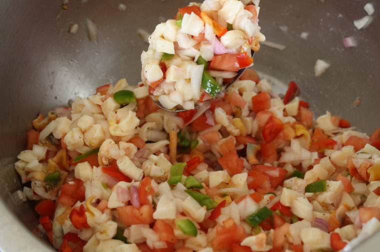 Bahamas Travel Tips, things to know before visiting Bahamas, facts about Bahamas, Cracked Conch