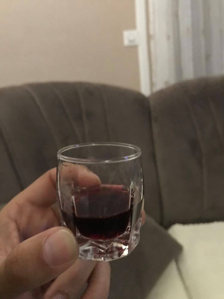 Croatia Travel Tips, Things To Know Before Visiting Croatia, facts about Croatia, Croatia Food, Croatia cuisine, Traditional Croatia drink, food in Croatia, Croatian dishes, Croatian food, drinks in Croatia, Croatian drinks, rakija