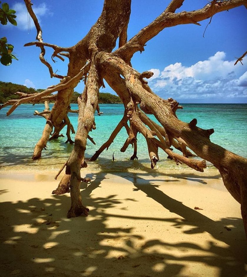 Jamaica instagram spots, most instagrammable places in Jamaica, Jamaica photos, Jamaica photography, Winifred Beach