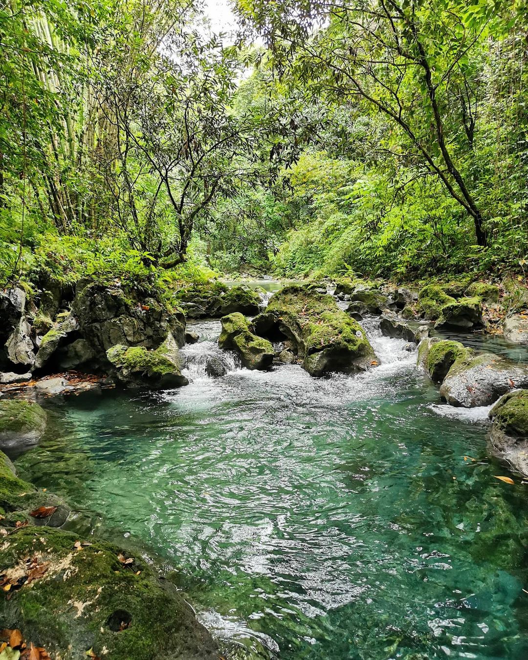 Jamaica instagram spots, most instagrammable places in Jamaica, Jamaica photos, Jamaica photography, Reach Falls