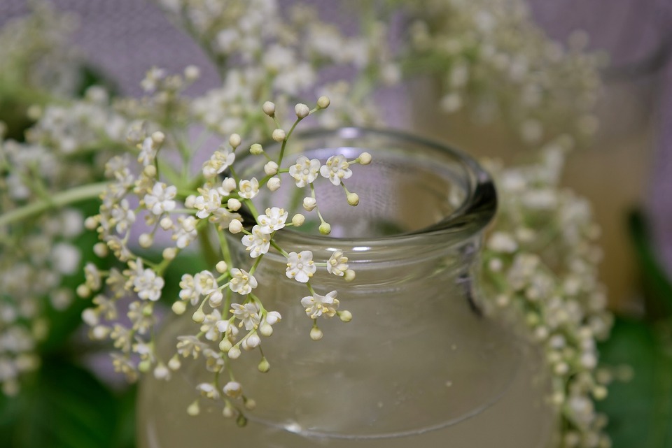 Romanian drinks, Top drinks in Romania, What to drink in Romania, Drinks in Romania, Socata