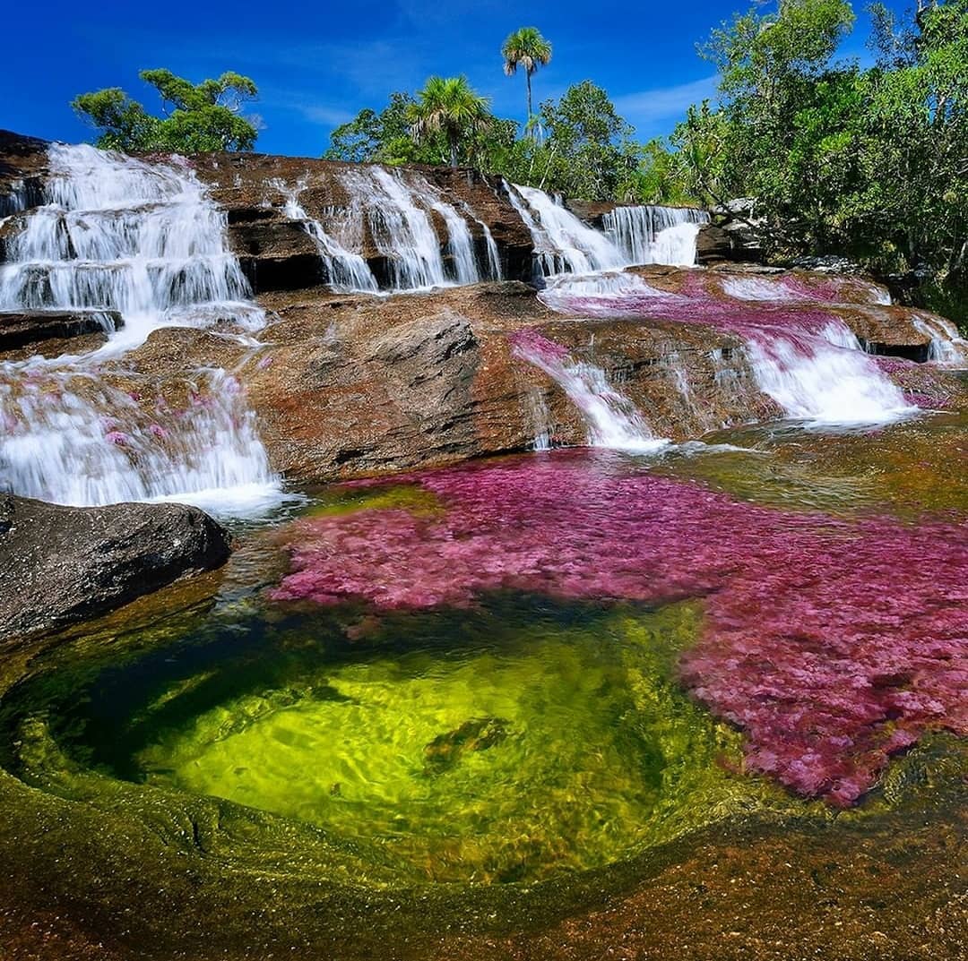 31 Most Instagrammable Places In Colombia And Best Colombia Instagram Spots That You Can't Miss 10 Colombia instagram spots, most instagrammable places in Colombia, Colombia photos, Colombia photography, Caño Cristales