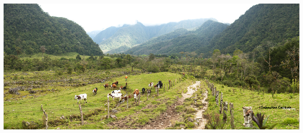 31 Most Instagrammable Places In Colombia And Best Colombia Instagram Spots That You Can't Miss 14 Colombia instagram spots, most instagrammable places in Colombia, Colombia photos, Colombia photography, La Pastora