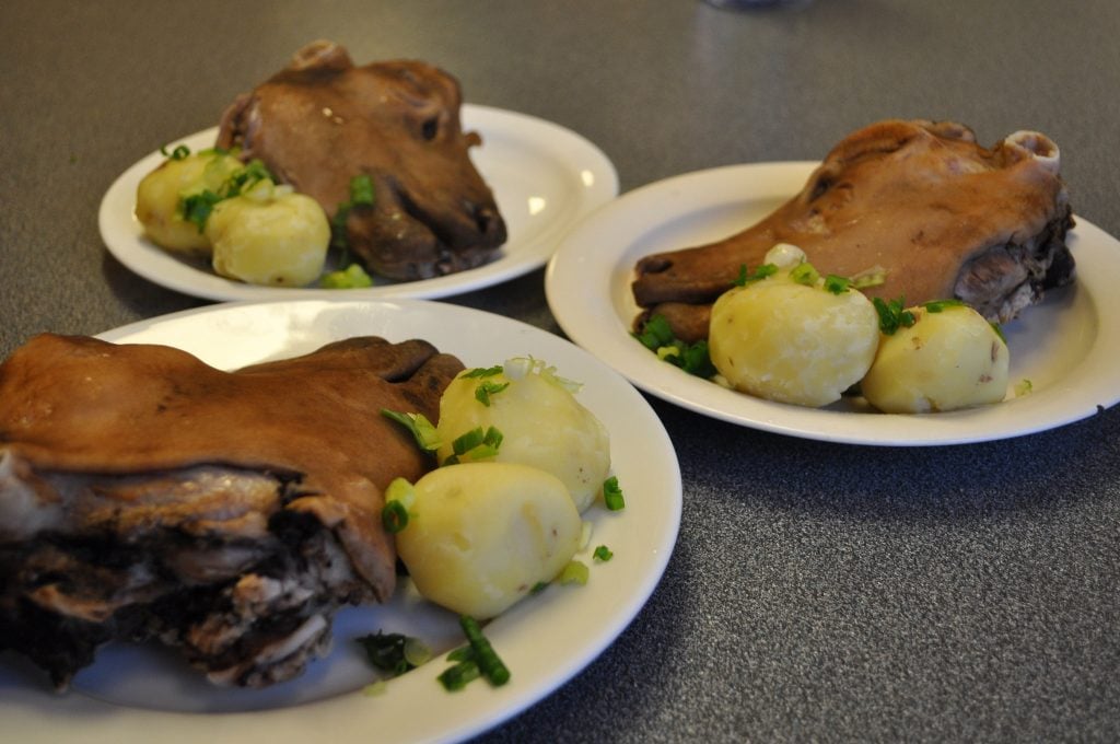 Svið or boiled sheep head, iceland food, iceland street food, food in iceland, iceland cuisine, iceland traditional food, icelandic cuisine, icelandic dishes, icelandic food, 