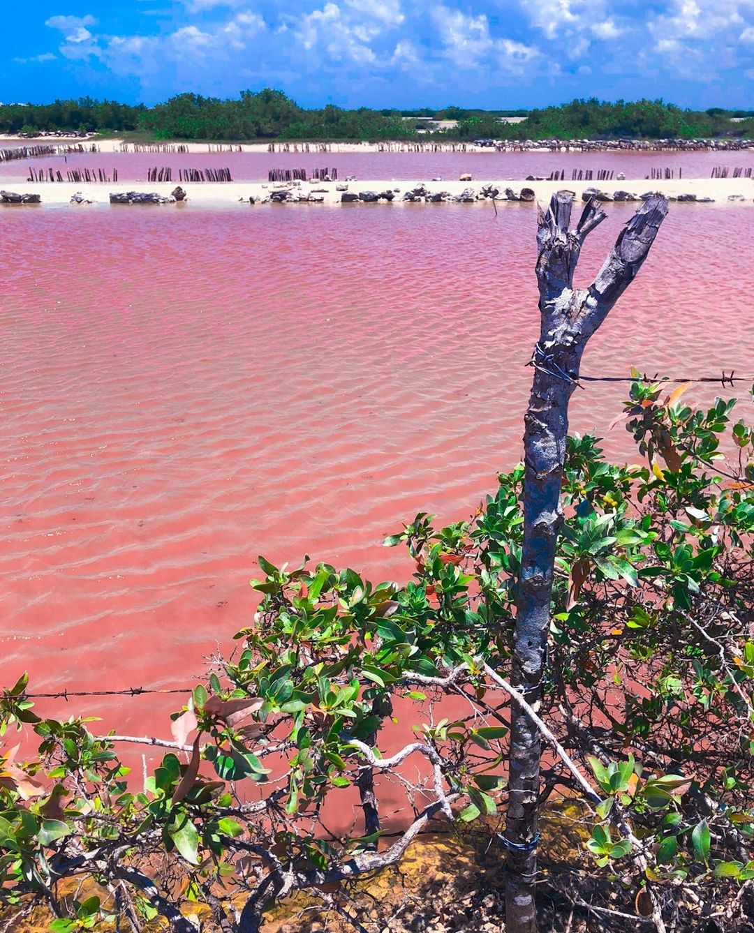 Most Instagrammable Places in Mexico, Mexico Instagram Spots, mexico photos, Mexico Photography, Pink lake