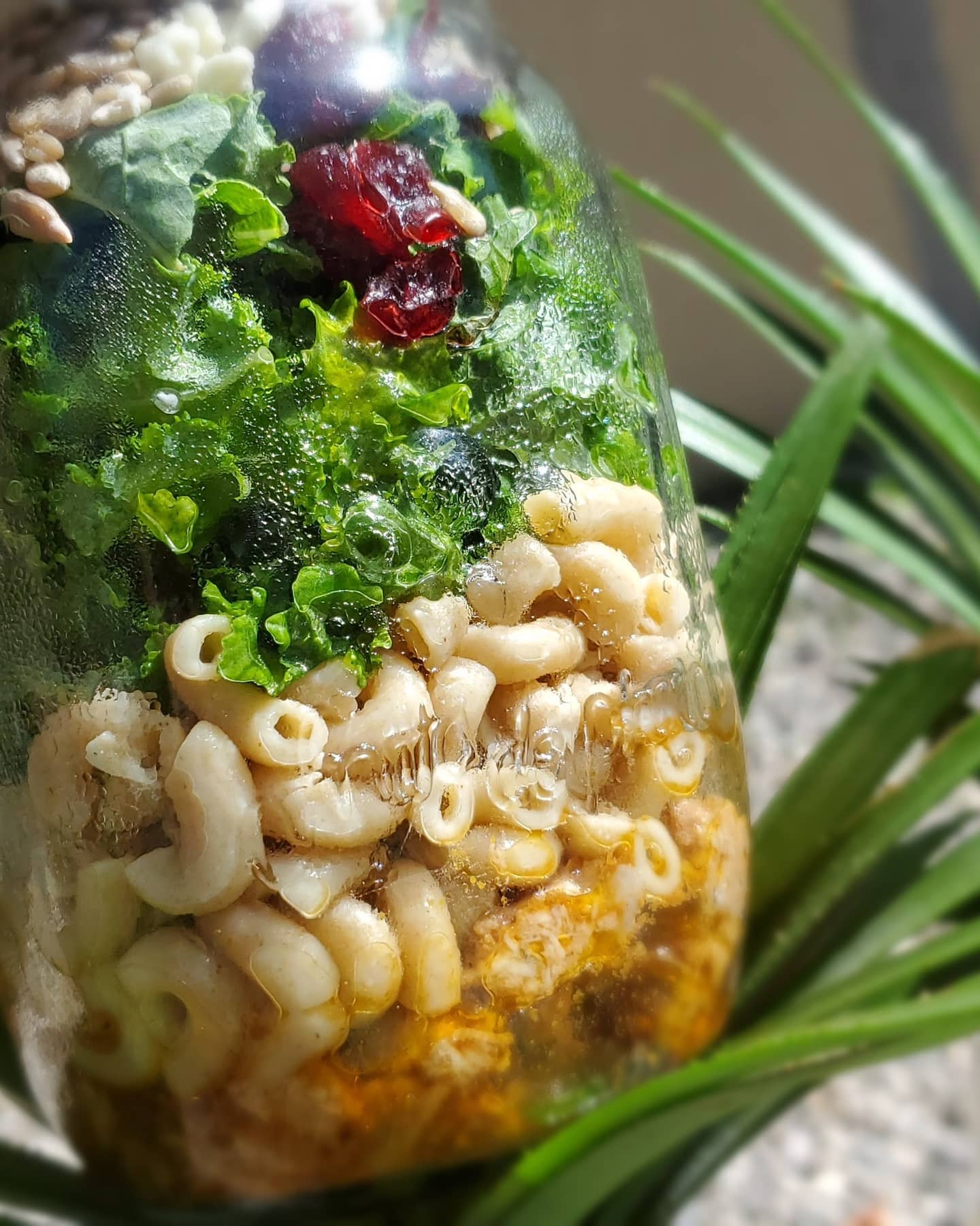 montego bay restaurants, vegan restaurants in montego bay, vegan restaurants in montego bay, DLE cafe