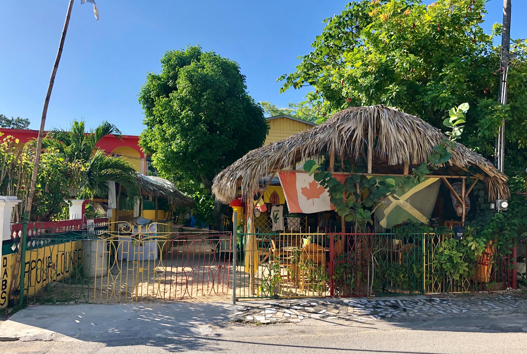 vegan restaurants in Negril, vegan restaurants in Negril, Negril vegan restaurants, Negril vegetarian restaurants, irie rastarant cafe