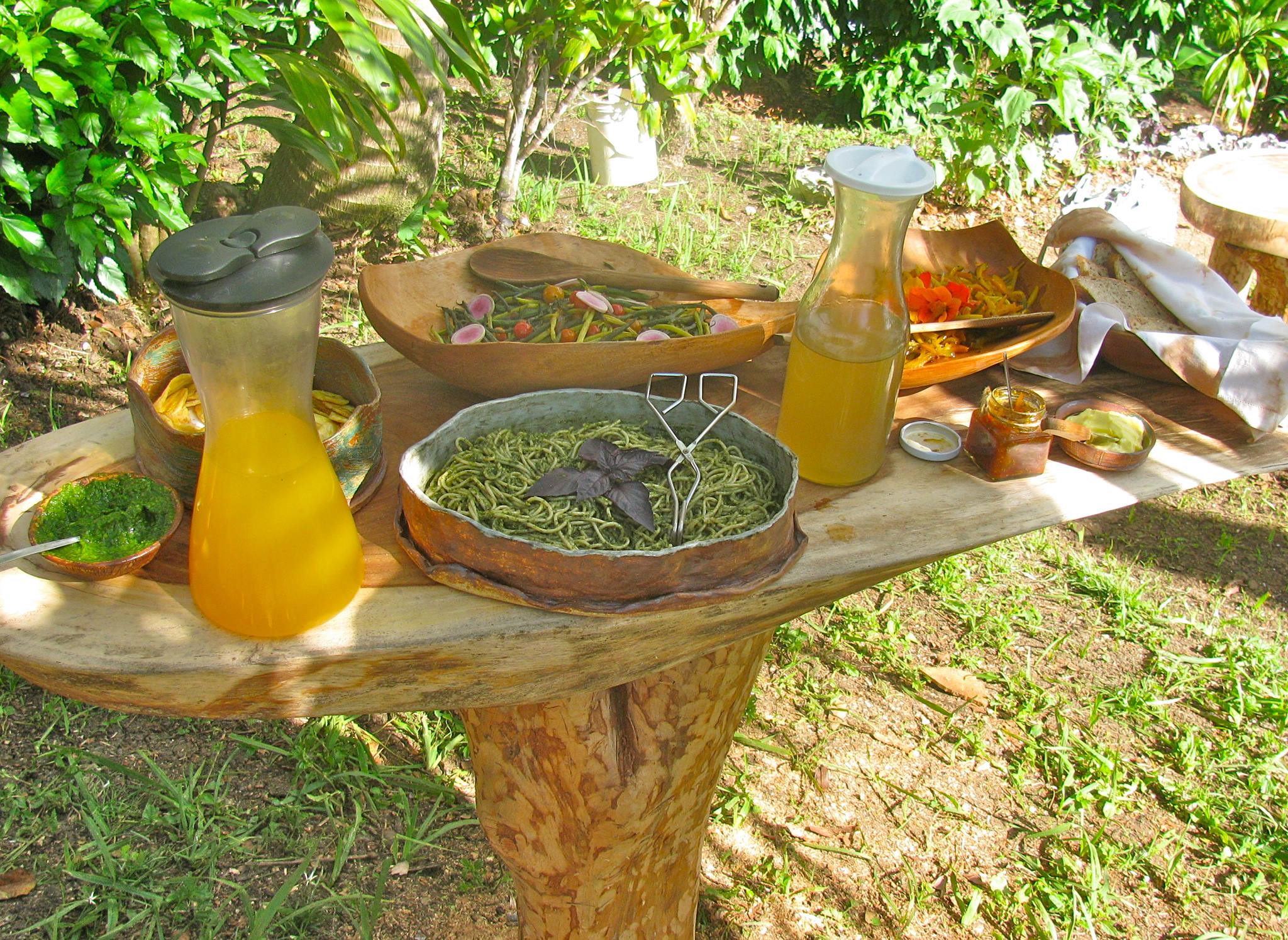 montego bay restaurants, vegan restaurants in montego bay, vegan restaurants in montego bay, stush in the bush