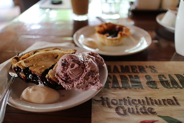 Canadian Food, Canadian cuisine, Traditional Canadian Food, food in Canada, Canadian dessert, dessert in Canada, Saskatoon berry pie
