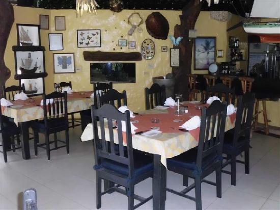 puerto plata restaurants, where to eat in puerto plata, vegan restaurants in puerto plata, vegetarian restaurants in puerto plata, le papillon