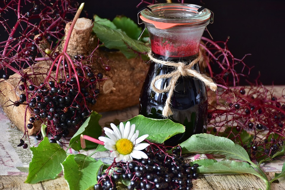 Bulgarian Food, Bulgarian cuisine, Traditional Bulgarian Food, food in Bulgaria, Bulgarian dishes, drinks in Bulgaria, Bulgarian drink, elderberry juice