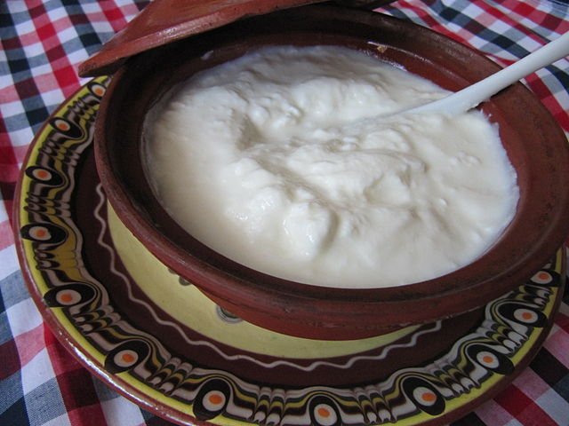 Bulgarian Food, Bulgarian cuisine, Traditional Bulgarian Food, food in Bulgaria, Bulgarian dishes, drinks in Bulgaria, Bulgarian drink, Kiselo mlyako