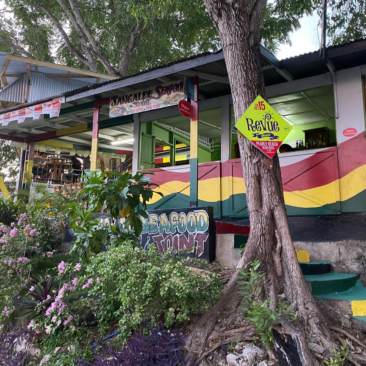 restaurants in ocho rios 2400, best restaurants in ocho rios 170, ocho rios food, where to eat in ocho rios, Jangalee Seafood Joint