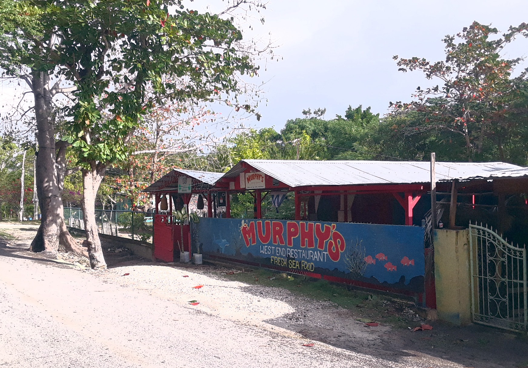 restaurants in negril, best restaurants in negril, where to eat in negril, negril food, negril restaurants, murphy's restaurant