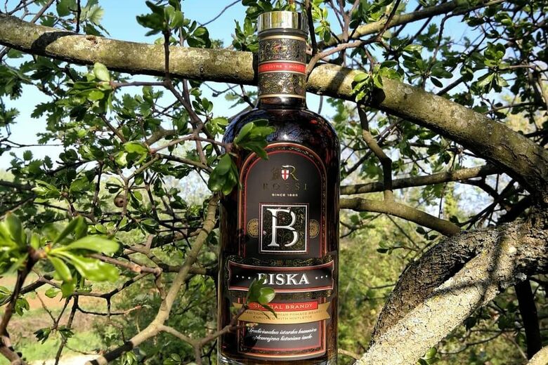 Croatia Food, Croatia cuisine, Traditional Croatia drink, food in Croatia, Croatian dishes, Croatian food, drinks in Croatia, Croatian drinks, biska