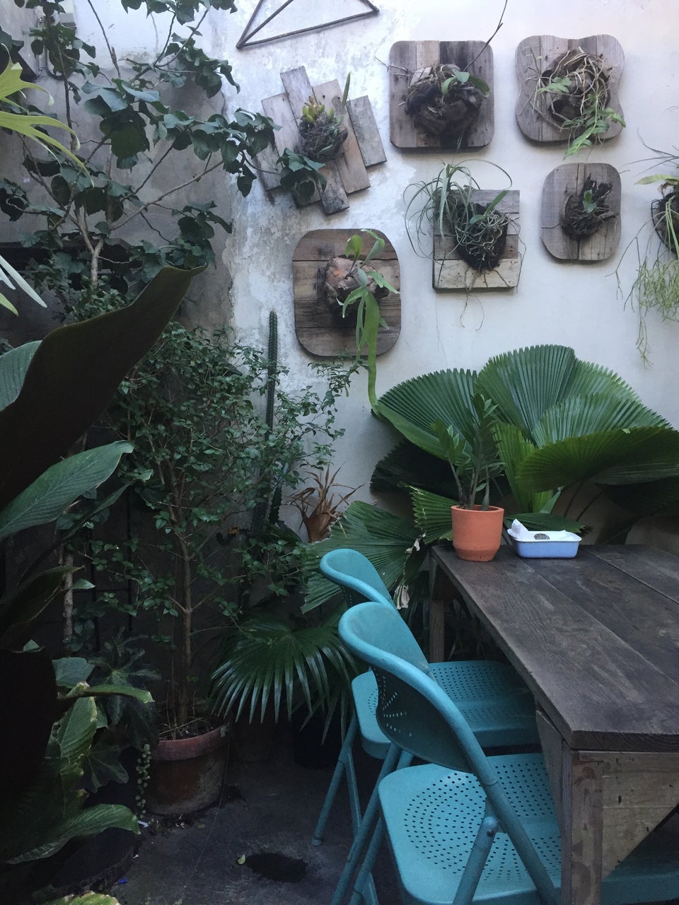 restaurants in santo domingo, restaurants in santo domingo dominican republic, best restaurants in santo domingo, where to eat in santo domingo, santo domingo food, papaupa