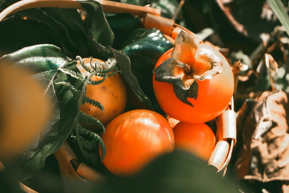 Slovenian Snacks, Traditional Slovenian dessert and snacks, Slovenia snacks, Slovenia cuisine, traditional dessert and snacks in Slovenia, Slovenian desserts, Slovenia desserts, persimmon