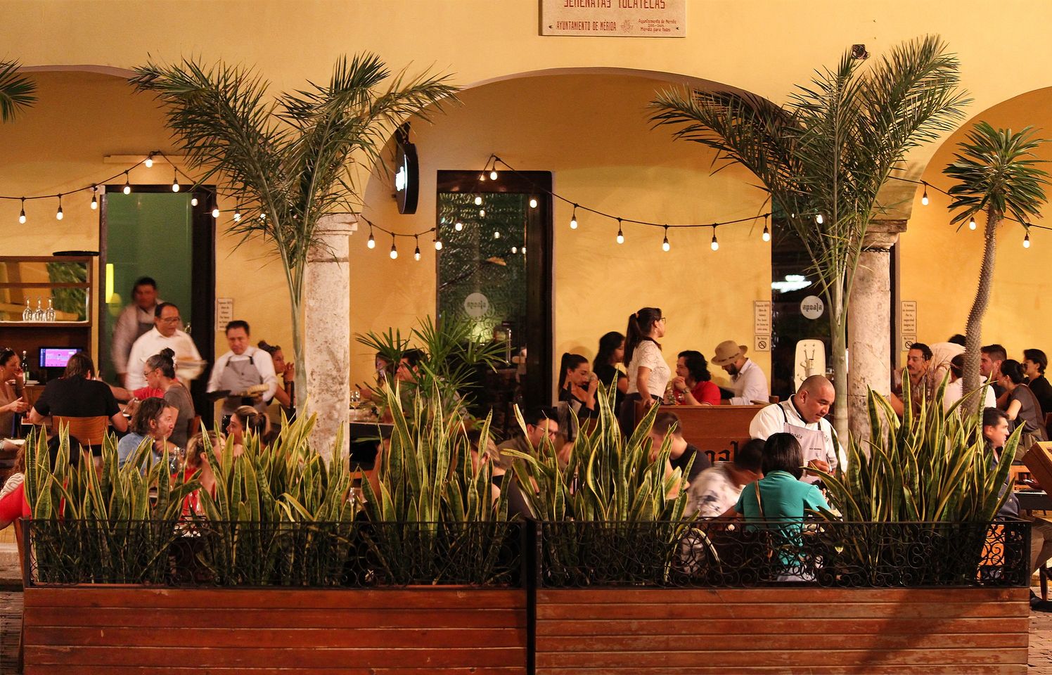 restaurants in merida, best restaurants in merida mexico, merida food, restaurants in merida mexico, merida restaurant, where to eat in merida, merida restaurants, best merida restaurants, apoala mexican cuisine